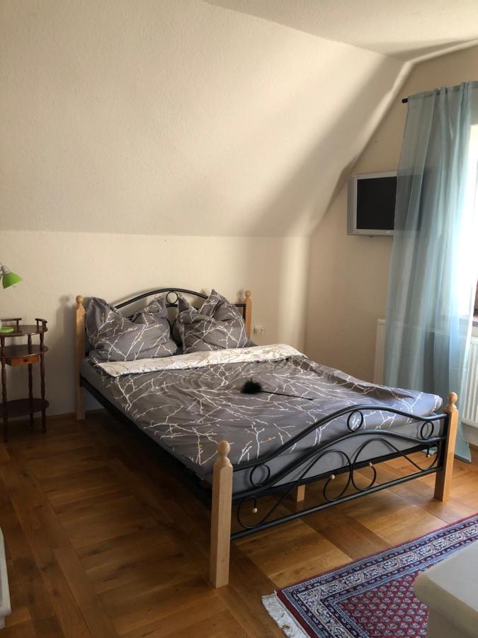 Ferienhaus Mit Pool Zum Traeumen Und Entspannen Fuer Alle Sinne Bad Schmiedeberg Buitenkant foto